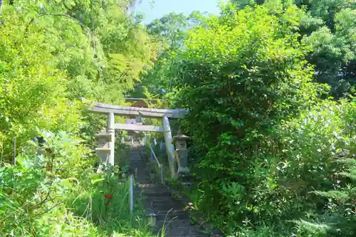 大六天麻王神社の鳥居