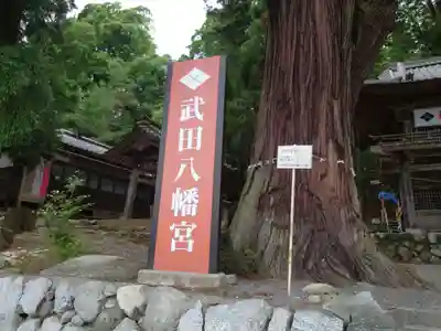 武田八幡宮(山梨県)