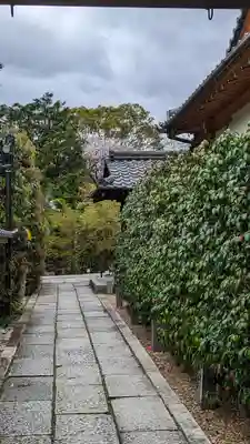 勝林寺(京都府)
