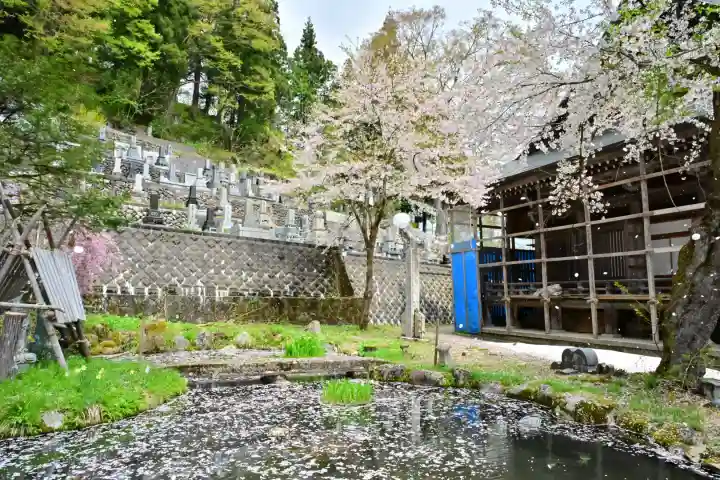 普光寺(新潟県)
