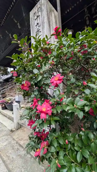 行願寺(革堂)(京都府)