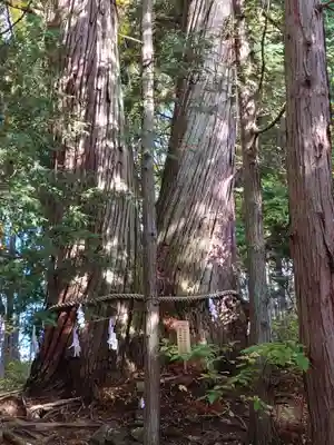 戸隠神社火之御子社(長野県)