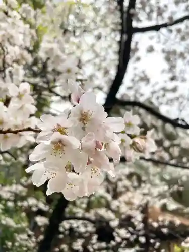 難波八阪神社(大阪府)