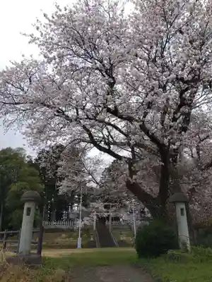 気比神社(福井県)