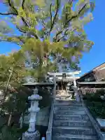 日吉神社(水口町泉)(滋賀県)