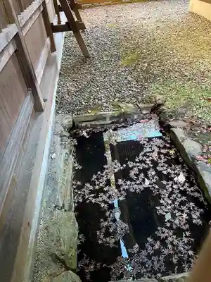 宝登山神社(埼玉県)