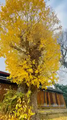 宇賀神社(京都府)