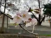大沼神社の自然