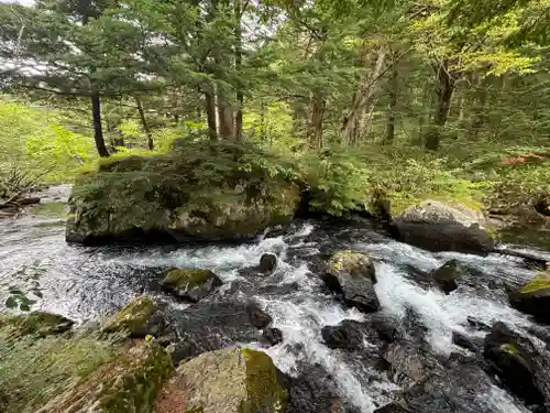 穂高神社奥宮の自然