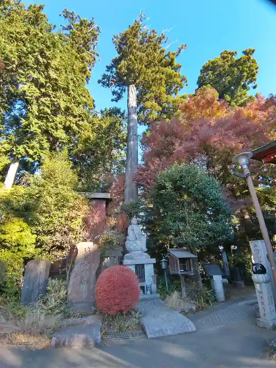 高尾山薬王院のその他建物