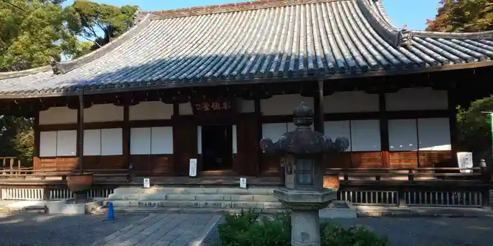 知恩院の本殿・本堂