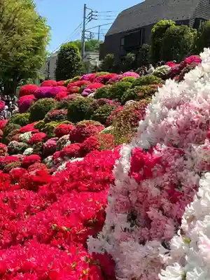 根津神社(東京都)
