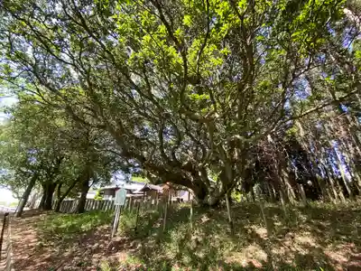 美和神社(岡山県)
