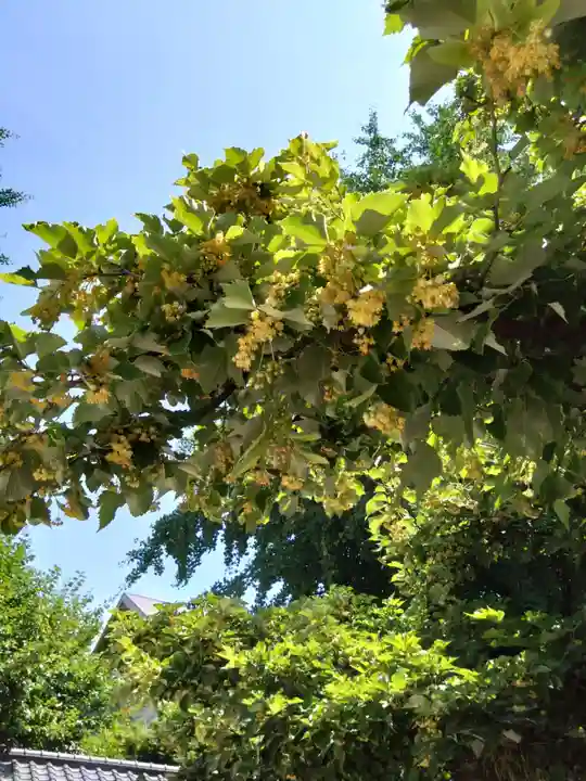 恵光院(福岡県)