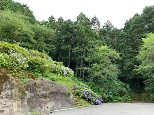 真野寺の庭園