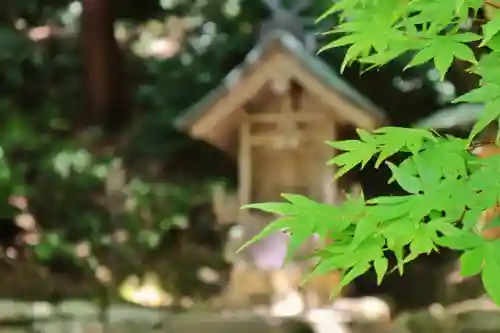 出雲大社北島国造館 出雲教(島根県)
