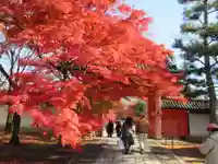 真正極楽寺(真如堂)(京都府)