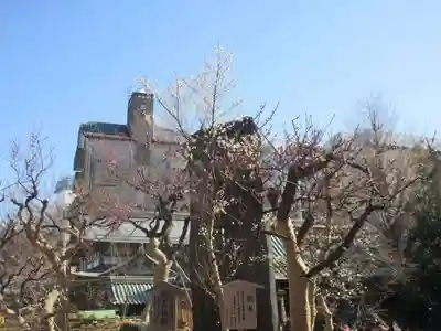 湯島天満宮(東京都)