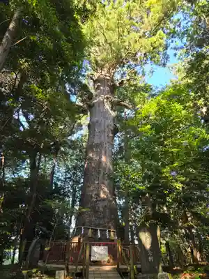 麻賀多神社(千葉県)