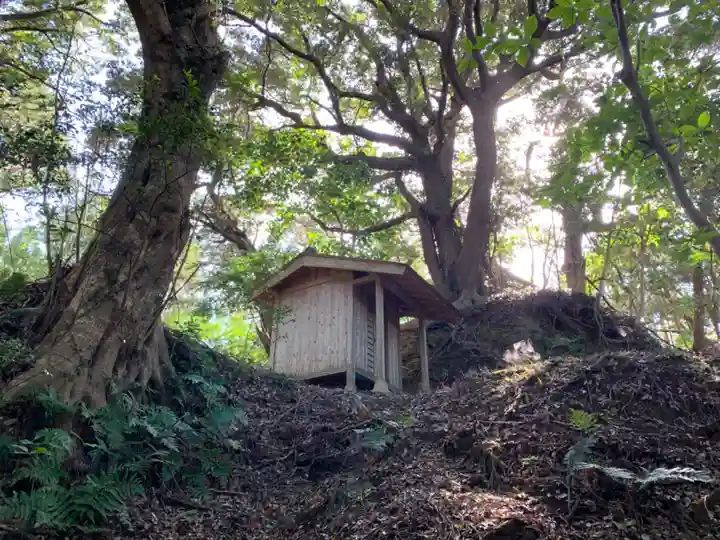 松尾神社の本殿・本堂
