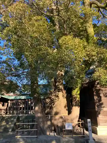 焼津神社(静岡県)