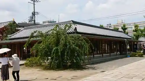 四天王寺の本殿・本堂