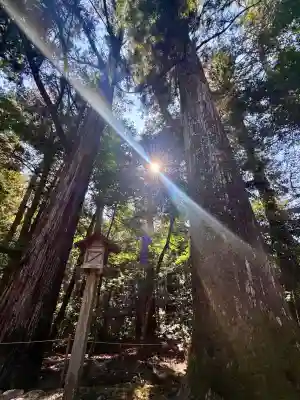 瀧原宮(皇大神宮別宮)の{uncategorized: "未分類", other: "その他", undefined: "問題あり", building: "その他建物", grave: "お墓", sacred_gate: "鳥居", guardian: "狛犬", statue: "像", buddha: "仏像", history: "歴史", nature: "自然", garden: "庭園", animal: "動物", pagoda: "塔", temizu: "手水舎", mountain_gate: "山門・神門", sanctuary: "本殿・本堂", subordinate: "末社・摂社", art: "芸術", scenery: "景色", jizo: "地蔵", ema: "絵馬", goshuin: "御朱印", omikuji: "おみくじ", items: "授与品その他", amulet: "お守り", goshuincho: "御朱印帳", eats: "食事", festival: "お祭り", votive_dance: "神楽", shichigosan: "七五三参", wedding: "結婚式", experience: "体験その他", initially: "初詣", around: "周辺", anti_infection: "感染症対策"}