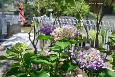 浮島稲荷神社(埼玉県)