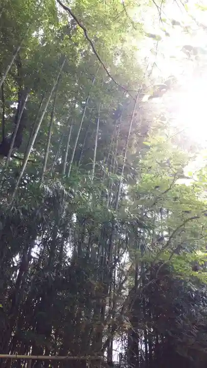 中尊寺(岩手県)