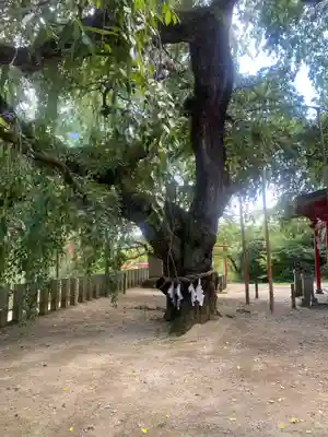 小川諏訪神社(福島県)