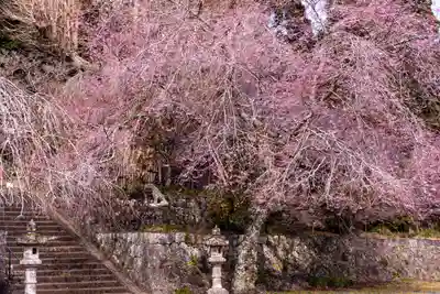 村山浅間神社(静岡県)