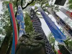 大山祇神社の狛犬