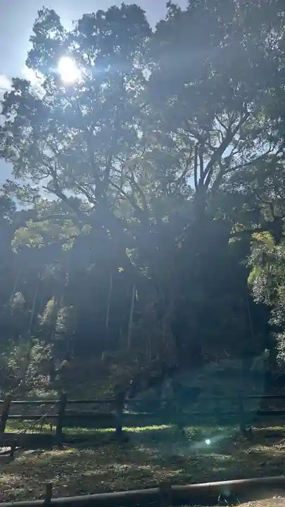 武雄神社(佐賀県)