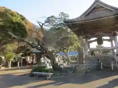 光明寺の建物その他