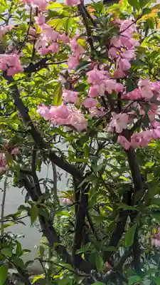 福田寺(京都府)