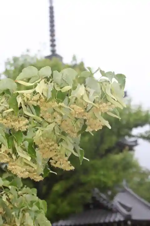 真正極楽寺(真如堂)(京都府)