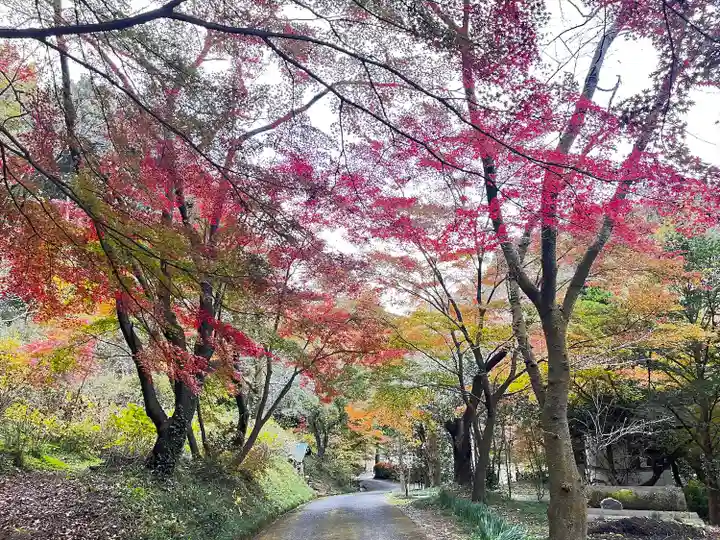 長学寺(群馬県)