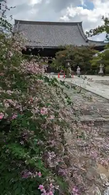 真正極楽寺(真如堂)(京都府)