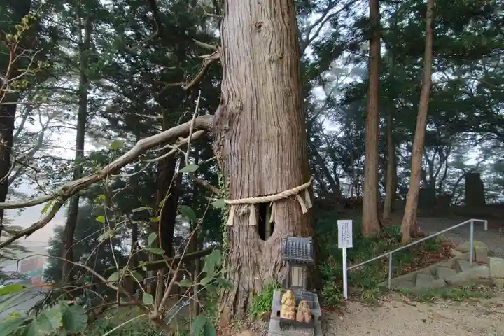 阿久津「田村神社」(郡山市阿久津町)旧社名:伊豆箱根三嶋三社の自然