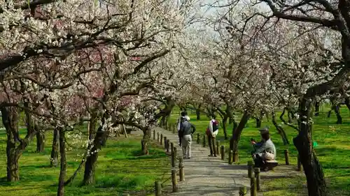 常磐神社の周辺