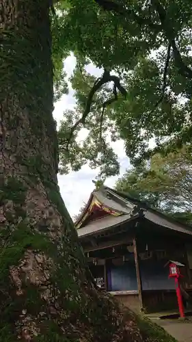 鷲宮神社の自然