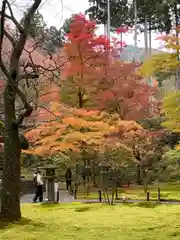 三千院門跡(京都府)