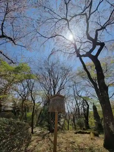 勝持寺（花の寺）の庭園