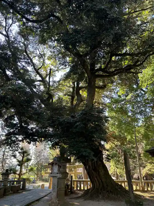 雨引千勝神社(茨城県)