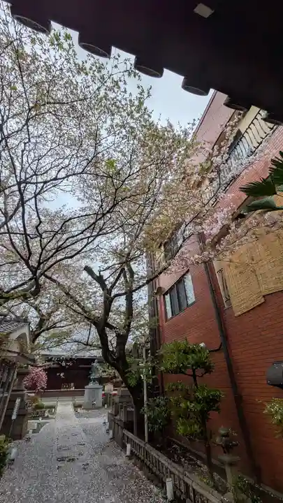墨染寺(桜寺)(京都府)
