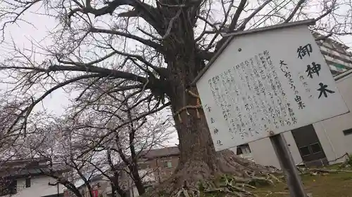津島神社の自然