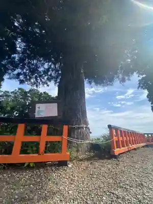 熊野那智神社(宮城県)
