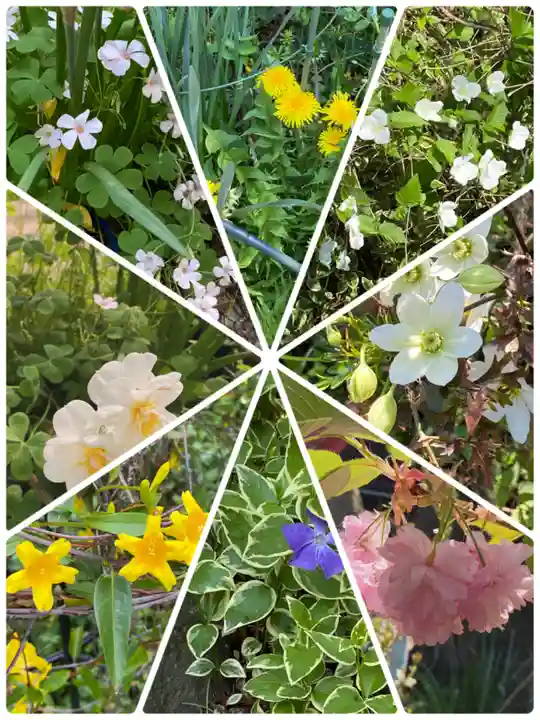 岡部春日神社~👹鬼門よけの🌺花咲く🌺やしろ~(福島県)
