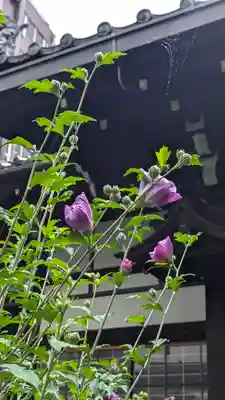 瑞泉寺(京都府)