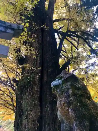 丹生神社の狛犬
